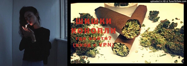 дмт Аркадак